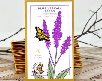 Blue Vervain Seeds: Michigan Native Pollinator Garden Perennial