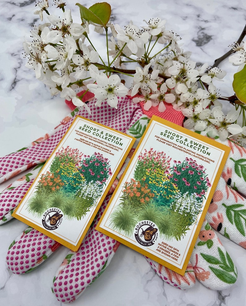 Short & Sweet Seed Collection native flower seed packets are shown in two sizes. Custom illustration shows orange, pink, purple and yellow flowers, next to the Rochester Pollinators logo.