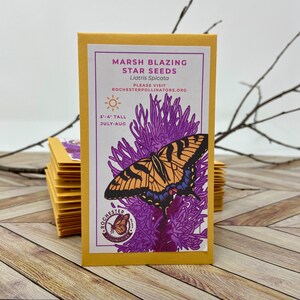 Puede incluir: Un paquete de semillas de Liatris Spicata, "Marsh Blazing Star", con fondo amarillo y una flor morada con una mariposa. El paquete dice "Por favor, visite Rochesterpollinators.org".