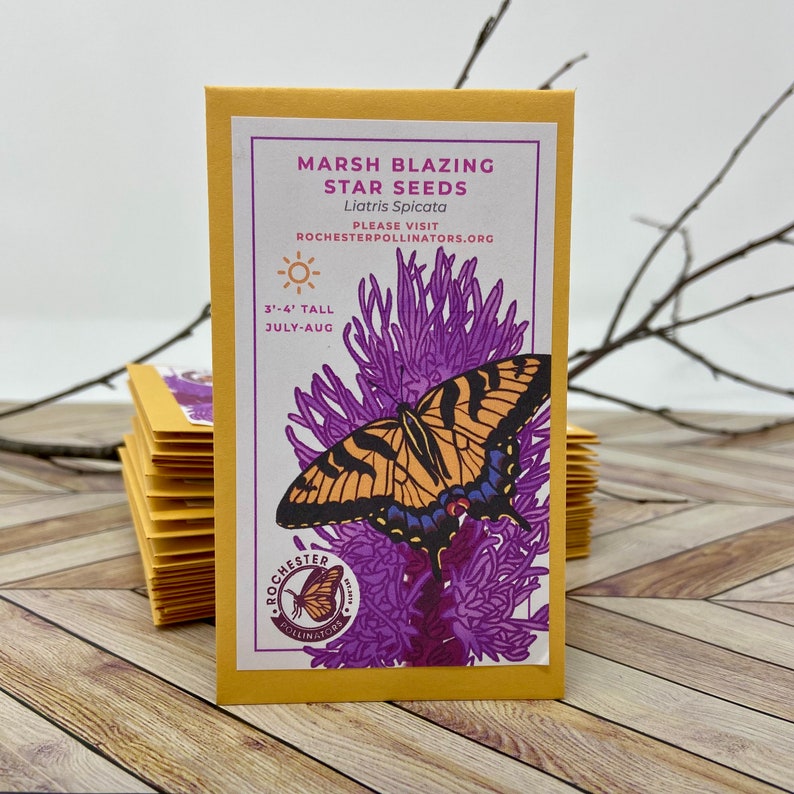 Puede incluir: Un paquete de semillas de Liatris Spicata, "Marsh Blazing Star", con fondo amarillo y una flor morada con una mariposa. El paquete dice "Por favor, visite Rochesterpollinators.org".