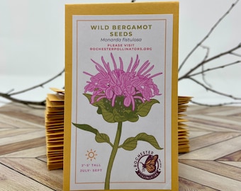 May include: A yellow packet of Wild Bergamot seeds with a pink and green illustration of the flower. The packet also includes the text "Wild Bergamot Seeds", "Monarda fistulosa", "Please visit Rochesterpollinators.org", "2'-5' Tall", "July-Sept", and a logo for Rochester Pollinators featuring a butterfly.