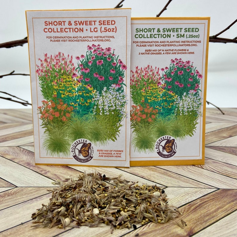 May include: Two seed packets for a short and sweet seed collection. The packets are yellow and white with a colorful illustration of flowers and grasses. The text on the packets reads "Short & Sweet Seed Collection" and includes the size of the packet, either 0.5 oz or 0.25 oz. The packets are on a wooden surface with a pile of seeds in the foreground.