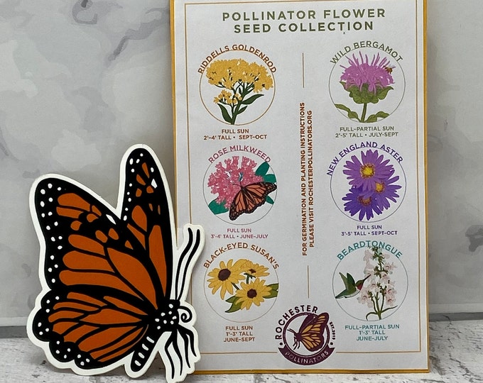 Pollinator Garden Flower Seed Mix, Michigan Native Plant Seeds, Midwest ...