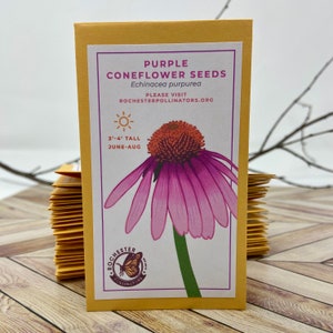 Puede incluir: Paquete de semillas de equin&aacute;cea p&uacute;rpura con un gr&aacute;fico de una equin&aacute;cea rosa y el texto "PURPLE CONEFLOWER SEEDS Echinacea purpurea PLEASE VISIT ROCHESTERPOLLINATORS.ORG 3'-4' TALL JUNE-AUG" y un logotipo para Rochester Pollinators.
