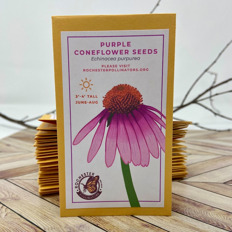 Puede incluir: Paquete de semillas de equin&aacute;cea p&uacute;rpura con un gr&aacute;fico de una equin&aacute;cea rosa y el texto "PURPLE CONEFLOWER SEEDS Echinacea purpurea PLEASE VISIT ROCHESTERPOLLINATORS.ORG 3'-4' TALL JUNE-AUG" y un logotipo para Rochester Pollinators.