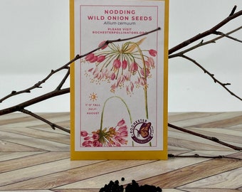 Nodding Wild Onion Seeds: Michigan Native Pollinator Garden