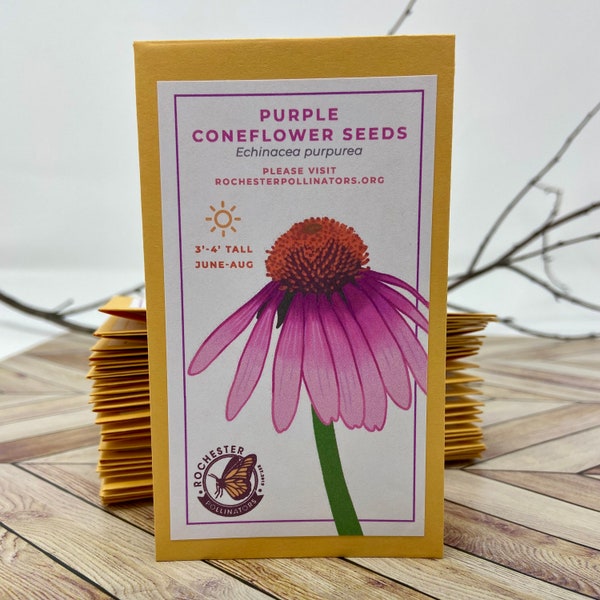 Purple Coneflower Seeds, Michigan Native Plant Seeds, Flower Packets, Echinechia Purpurpea, Pollinator Garden, Perennial Wildflowers