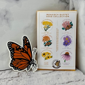 Monarch Butterfly Garden Seed Mix: Midwest Native Wildflowers