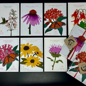 Colorful Native Plant Postcard Set, Handmade Michigan Wildflower Postcards, Frameable Artwork, Custom Illustrated, Gardener Gift Idea