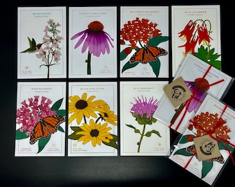 Colorful Native Plant Postcard Set, Handmade Michigan Wildflower Postcards, Botanical Postcard Pack, Nature Card, Gardener Gift Idea