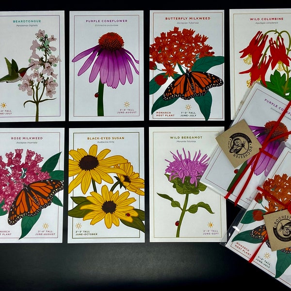 Colorful Native Plant Postcard Set, Handmade Michigan Wildflower Postcards, Botanical Postcard Pack, Nature Card, Gardener Gift Idea