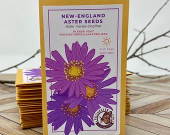 New England Aster Seeds, Michigan Native Plant Seeds, Flower Packets, Aster Novae-Angliae, Pollinator Garden, Perennial Wildflowers