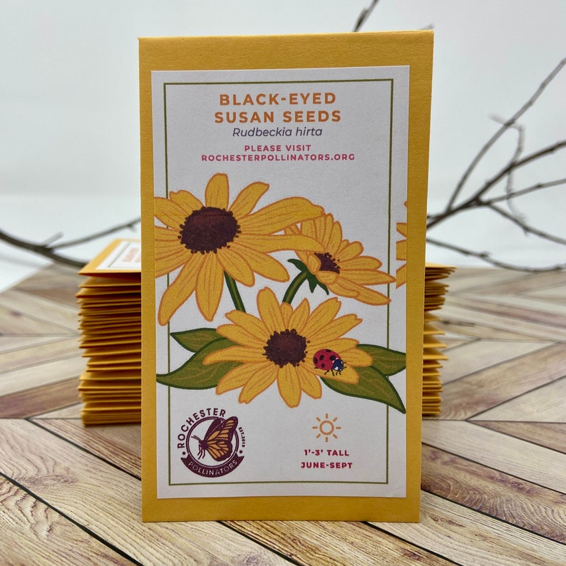 Michigan Native Wildflower Seed Packets: Pollinator Garden Black-eyed Susan