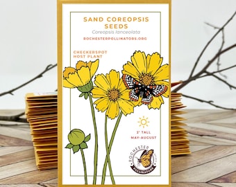 Sand Coreopsis Seeds, Michigan Native Wildflower, Drought-Tolerant, Pollinator Friendly, Coreopsis lanceolata