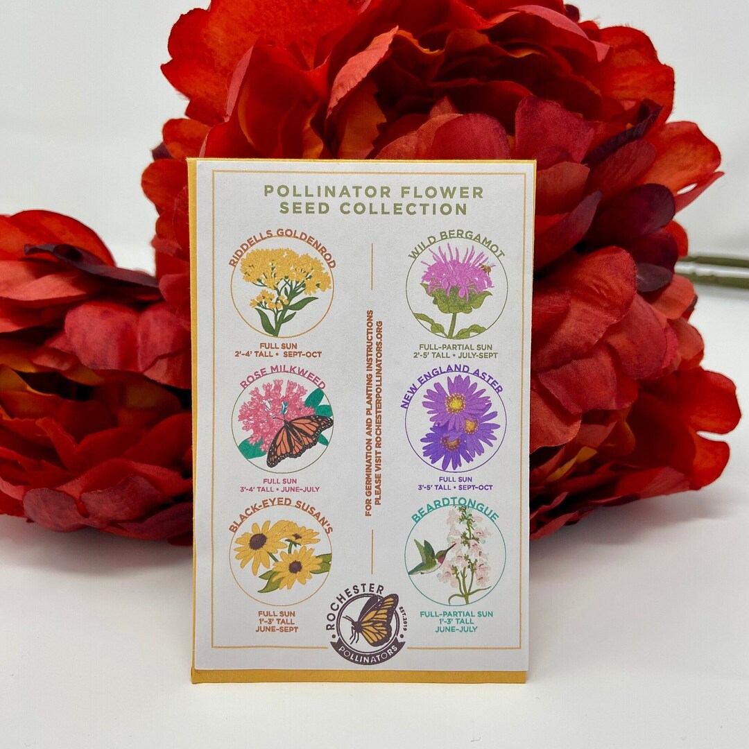 High-Quality Native Flower Seeds Artwork Illustration High-Quality Native Flower Seeds Artwork Illustration