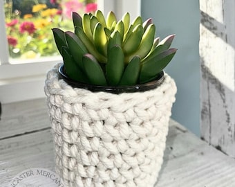2 Piece Artificial Succulent Plant in Glass Votive with Hand Crocheted Macrame Plant Cozy