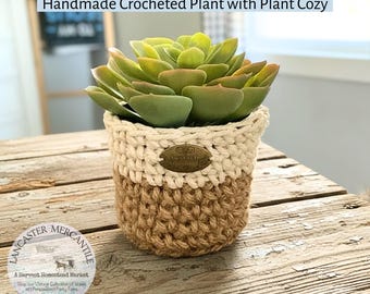 Succulent Plant with Hand-Crocheted Macrame Cozy Cover, Boho Farmhouse Décor, Artificial Plant