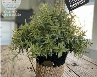 Artificial Rosemary Plant with Handcrafted Crocheted Macrame Plant Cozy