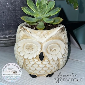 May include: A cream-colored owl-shaped planter with a succulent plant. The planter has a textured surface and gold accents. The owl's eyes are closed, and it has black feet. The text "Lancaster Mercantile" is visible.