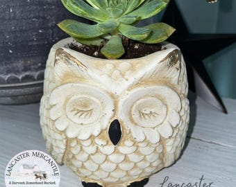 Cement Owl Planter, Farmhouse Decor, Succulent, Cactus, Rustic Home Accent