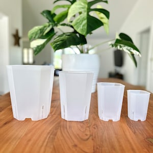 May include: Four white plastic plant pots of varying sizes on a wooden surface. The pots are square with rounded corners and have drainage holes in the bottom.