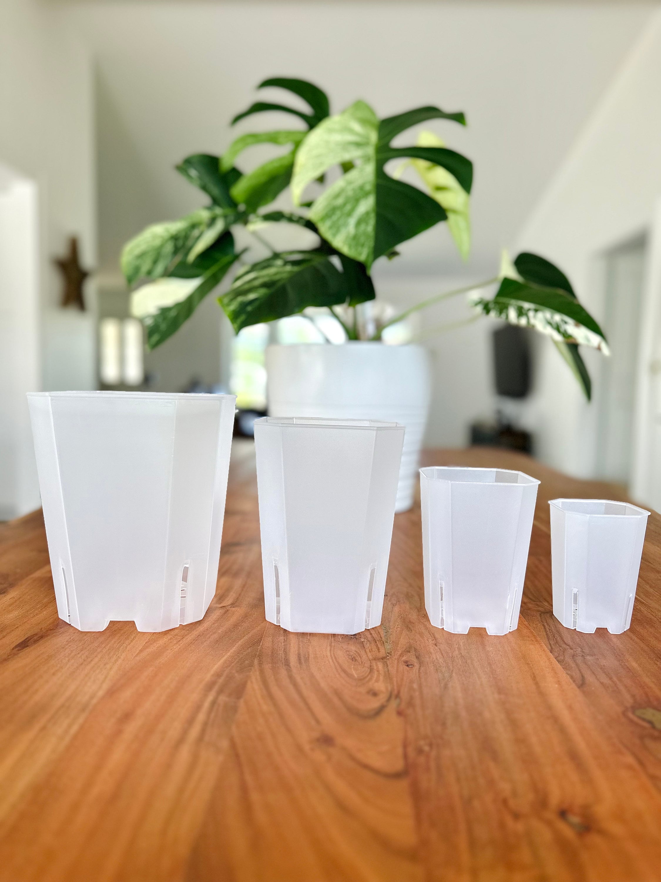 Plastic Plant Pots 8 Inch - Etsy