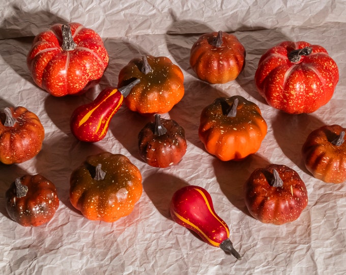 Set of 13 Pumpkins & Gourds | Pumpkin Vase Filler | Halloween Decor, Fall, Autumn, Gift