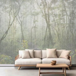 Décoration murale Chemin dans une forêt d'arbres tropicaux mystérieux