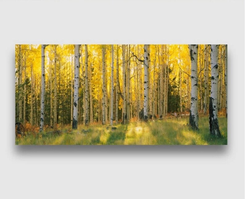 Oil Painting Effect Autumn Birches Trees Wallpaper Wall Mural - Etsy