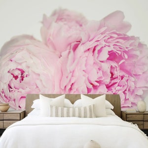 Pink Rose Floral Wallpaper Mural: Dark Background Wall Decor