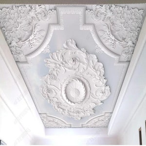 May include: An elaborate white ceiling with intricate floral and scrollwork patterns. The ceiling includes a central medallion and decorative panels, creating a classical architectural style. The design is set against a light blue backdrop.