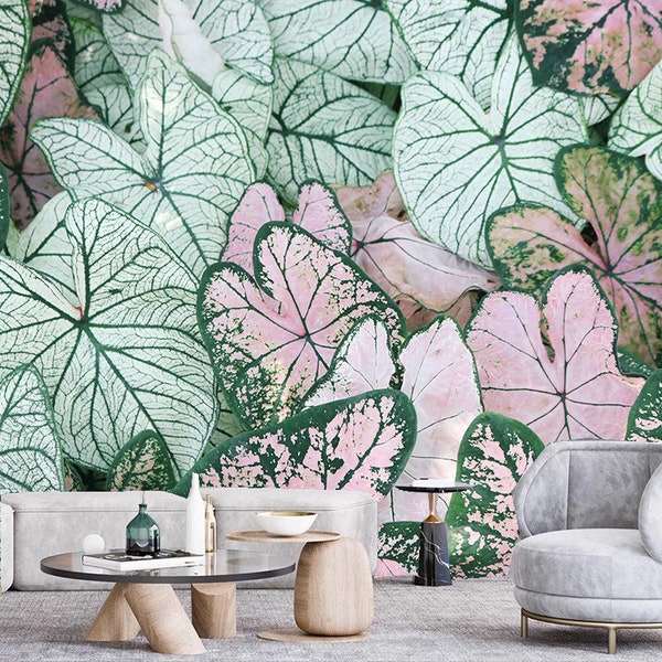 Pink Green Caladium Plants Tropical Leaf Wall Painting Wallpaper Wall Mural Wall Decor for Living Room or Bedroom Dinning Room