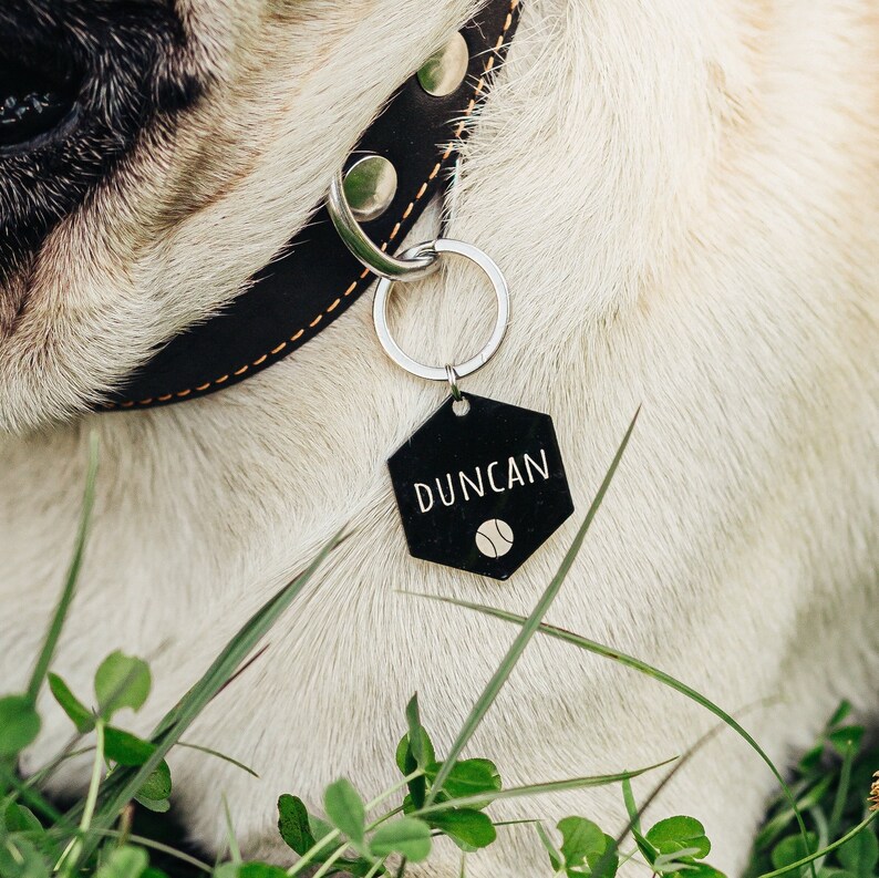Custom Dog Tag Personalized and For Cat New product! New type Name Max 72% OFF Gifts Pet