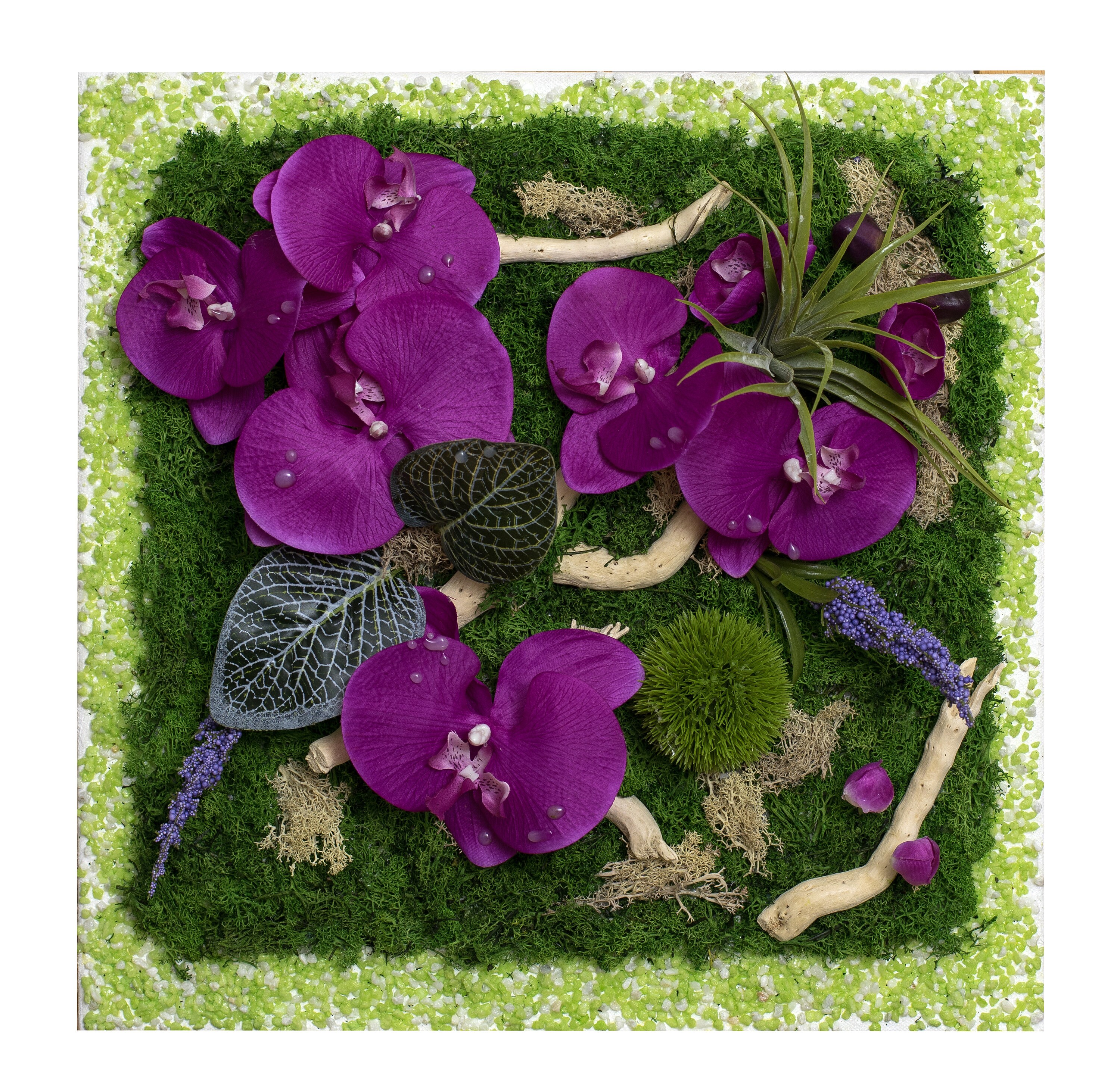 Orchidées sur Lit de Verdure