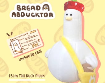Duck Boi Plush Set by Berry Winkle Bird Bois Plush Soft Toy Bird Plushie Chonky soft squishy