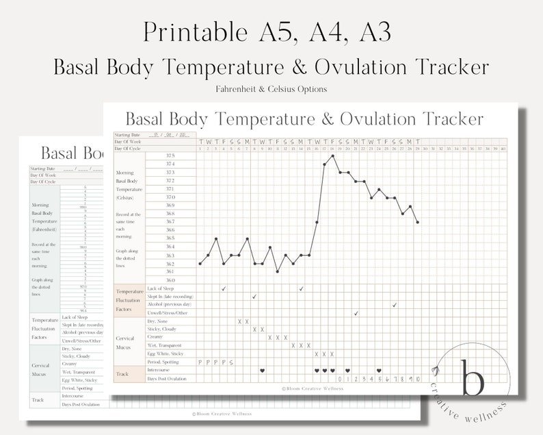 Printable Basal Body Temperature & Ovulation / Fertility / Pregnancy