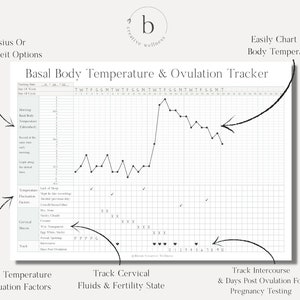 Printable Basal Body Temperature &amp; Ovulation / Fertility / Pregnancy ...
