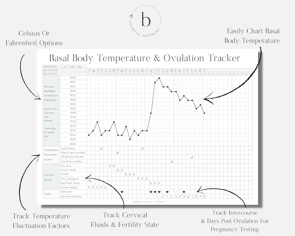 Printable Basal Body Temperature & Ovulation / Fertility / Etsy UK