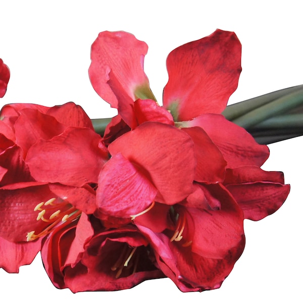 Giant Silk Flower Etsy