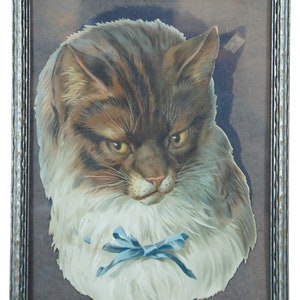 Antique Victorian Die Cut Long Hair Cranky Cat Lithograph Print Framed 10&quot;