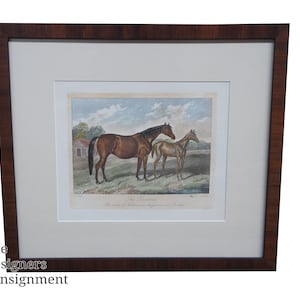The Princess&quot; Horse Landscape Realism Print Dam Nutbourne E. Corbet Harker 19&quot;