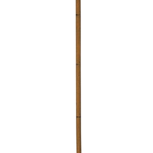 May include: A wooden walking cane with a carved, dark brown handle. The cane's shaft is a light brown color and tapers to a point at the bottom. The handle has a detailed, textured design.