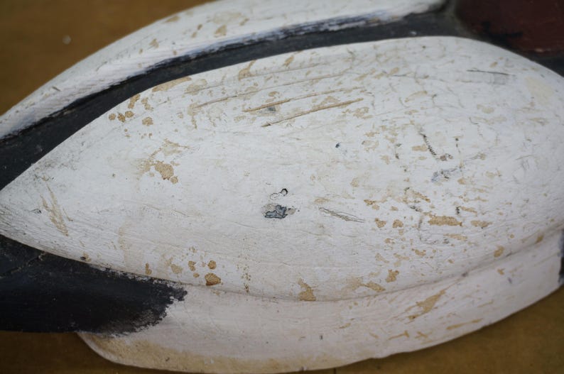 May include: Close-up of a weathered, painted duck decoy. The decoy features a white body with black and brown accents. The paint is distressed, showing signs of age and use. The duck's head is a dark maroon color.