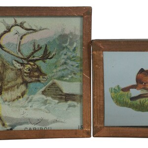 May include: Two framed vintage illustrations. The first shows a caribou in a snowy forest setting with the text "CARIBOU" at the bottom. The second shows a red fox running through a grassy field.