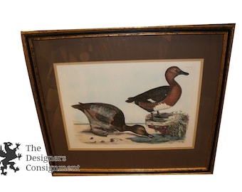 Lovely Selby Duck Restrike Engraved Print Hand Colored Plate W/ Certificate