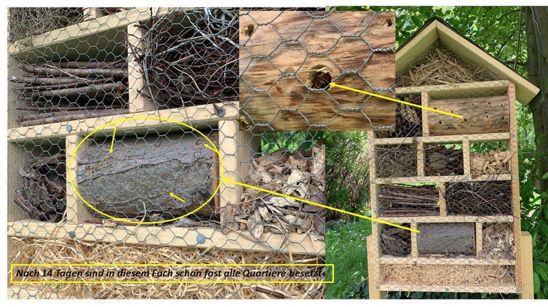 May include: A wooden insect hotel featuring multiple compartments filled with natural materials like twigs, straw, and logs with drilled holes. A wire mesh covers the front. Text on the image reads: Nach 14 Tagen sind in diesem Fach schon fast alle Quartiere besetzt.