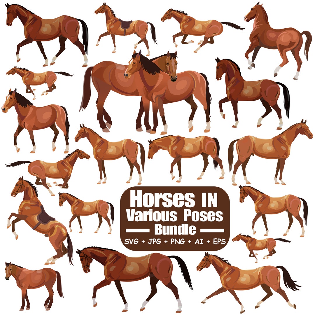 Horses in Various Poses Illustration SVG Bundle Elegant and Dynamic ...