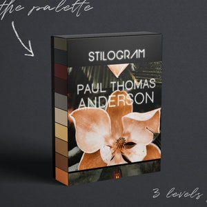 PAUL THOMAS ANDERSON Photoshop Actions - Subtle ochres + high contrast color grading in photoshop - There Will Be Blood/ Magnolia