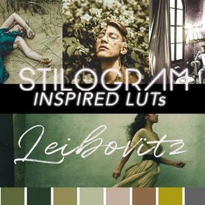 Leibovitz-inspired 3D LUT pack for a luxe, rich color palette, stylish filters for film & video projects in Premiere Pro, Davinci Resolve