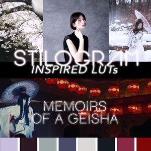 LUTs inspired by Memoirs of a Geisha - Japanese palette, dark, moody gray + pink color grading set - For Adobe Premiere Pro, Davinci Resolve